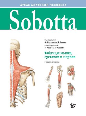 Sobotta. Таблицы мышц, суставов и нервов. Паульсен Ф., Вашке Й. &quot;Логосфера&quot;. 2022