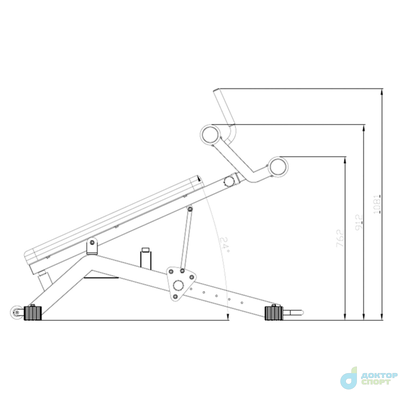 Скамья для пресса DFC D2320