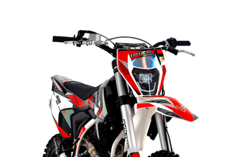 Мотоцикл PROGASI Ibiza 300