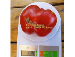 Томат Большая паста Керол Чико (Carol Chyko's Big Paste )