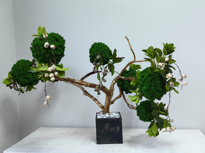 Живая эко-композиция 1006