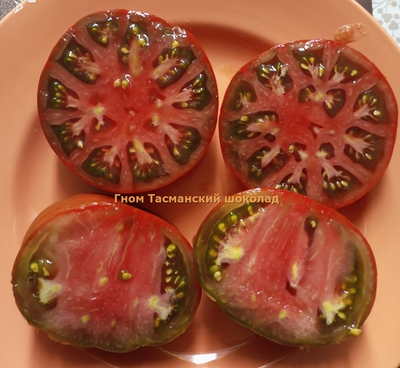 Томат Гном Тасманский шоколад (Dwarf Tasmanian Chocolate)