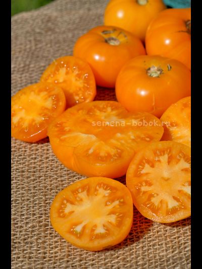 Томат  New Moon (Новолуние), 10 шт