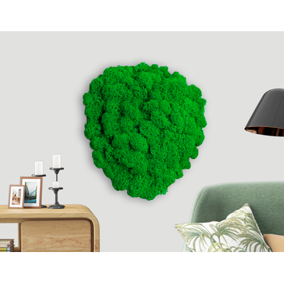 ЖИВАЯ ЭКО-КАРТИНА 1040