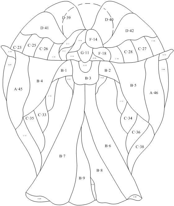 Фотогалерея - Панно и санкетчеры