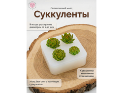 Молд "Суккуленты"