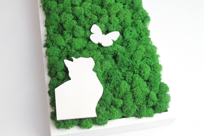 ЖИВАЯ ЭКО-КАРТИНА 1031