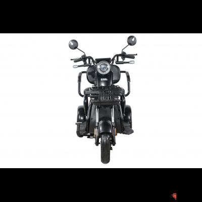 Пассажирский трицикл WHITE SIBERIA SIBTRIKE 2000W