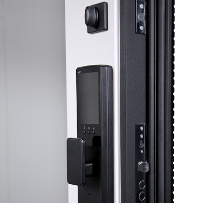 Стальная дверь   Сапсан с зеркалом (биометрический замок Smart lock К06)