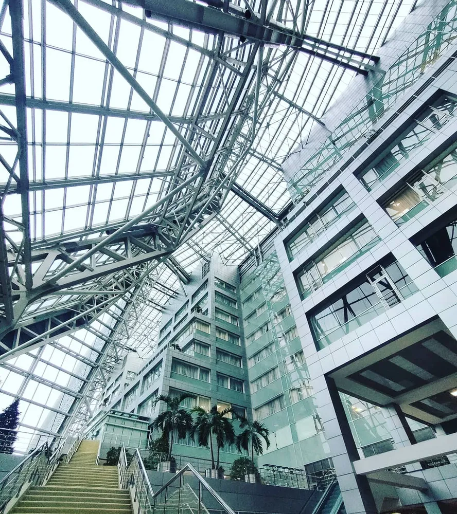 Остекление Правительства МО