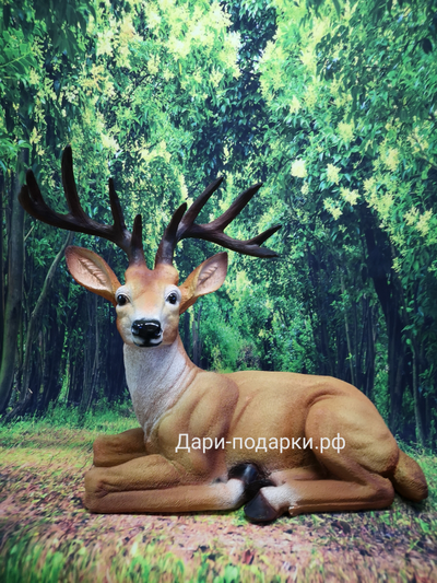 Олень лесной 46*40см   2,1кг   полистоун Россия 3078/012461*