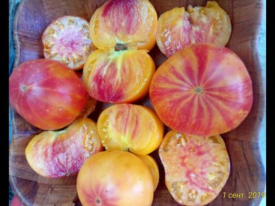 Томат Бурракерские любимцы (Burracker's Favorite)