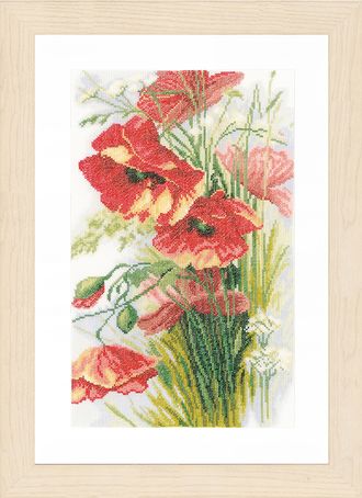 Маки (Poppies) PN-0156301 vkn