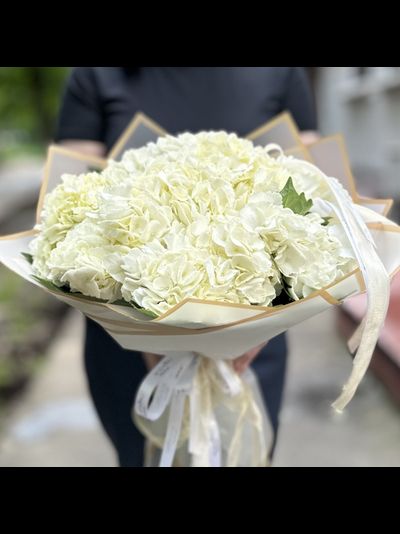 9 белых гортензий