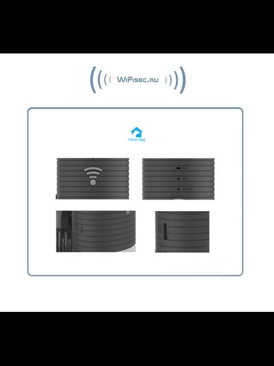 CleverDog, WiFi панорамная видеокамера 180*/160* с DVR, HD 960p
