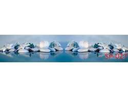 SP-027 ГОЛУБЫЕ РАКУШКИ Глянцевая стеновая панель ALBICO 2800*610*6мм