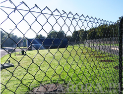 ЗАБОРЫ ИЗ СЕТКИ РАБИЦА