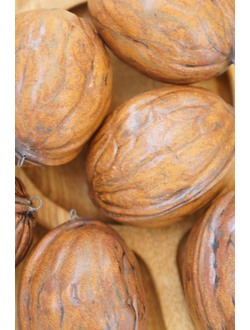 Грецкий орех