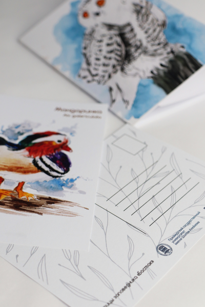 Набор почтовых открыток «Птицы заповедника «Бастак»          (12 шт.)