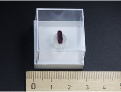 Шпинель кристалл в пластиковом боксе, Бирма, Могок №22083