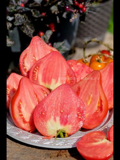 Томат Кызыл Тау, 10 шт