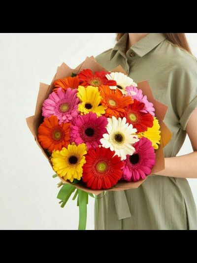 Разноцветные герберы