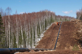 Вырубка леса под газо|нефтепровод