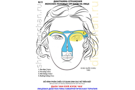 ДЕРМАТОЛОГИЯ