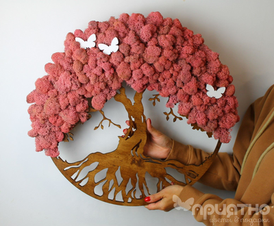 ЖИВАЯ ЭКО-КАРТИНА 1043