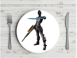 Тарелка Borderlands, Бордерленд №24