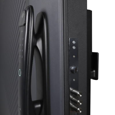 Стальная дверь   Гавана (биометрический замок). Заказная модель.