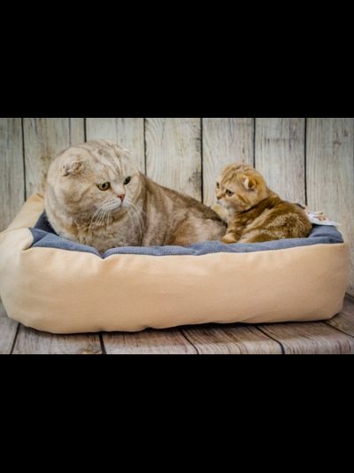 ДИВАН "ЛЮБИМЕЦ" 55х40x14 см