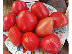 Томат Яйцо Быка с реки Гуадаррама (Huevo Toro Del Rio Guadarrama)