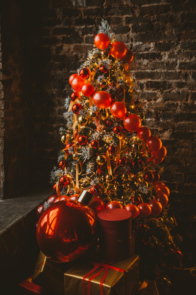 Оформление фотосессии в новогодних оттенках № 1469