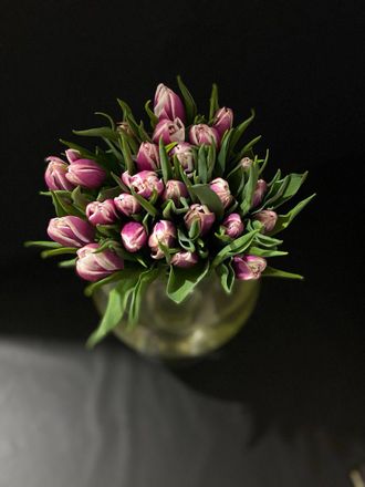 Тюльпаны пионовидные 25 шт