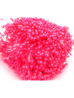 Тычинки капельки около 340 нитей , двусторонние , цвет ярко-розовый