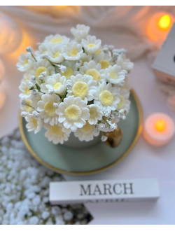 ЦВЕТОЧКИ РОМАШКИ