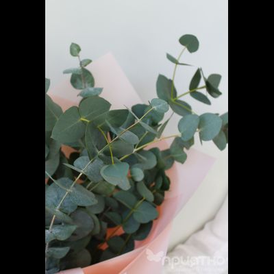 Букет цветов № 315