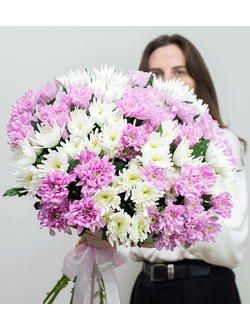 Хризантема кустовая поштучно