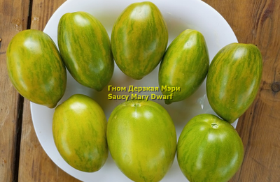 Томат Гном Дерзкая Мэри (Saucy Mary Dwarf) США