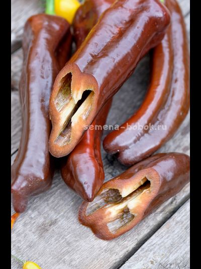 Перец сладкий Палермо Шоколадный, 10 шт