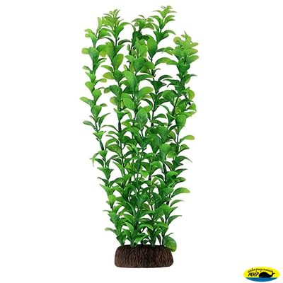 Ар1260 5576Р Растен. пласт.55см. зелен.Людвигия