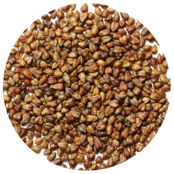 Чай Гречишный Ку Цяо