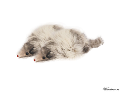 TRIOL Игрушка для кошек - Мышь меховая серая, 7,5 см (1 шт). Артикул: M003G