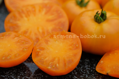 Томат Dwarf Loxton Lad (Гном Парень из Локстона), 10 шт