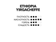 ЭФИОПИЯ СИДАМО 2                                  Цитрусовая волна и чай с бергамотом.