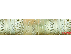 SP-204 Глянцевая стеновая панель ALBICO  2800*610*6мм.