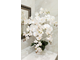 Композиция искусственная орхидея белая ваза туба № ОР012