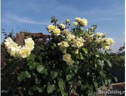 Биг Бен (Big Ben) пл