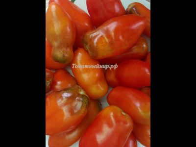 Томат Osu o Blonde avec Tetons (Пышногрудая блондинка Osu)